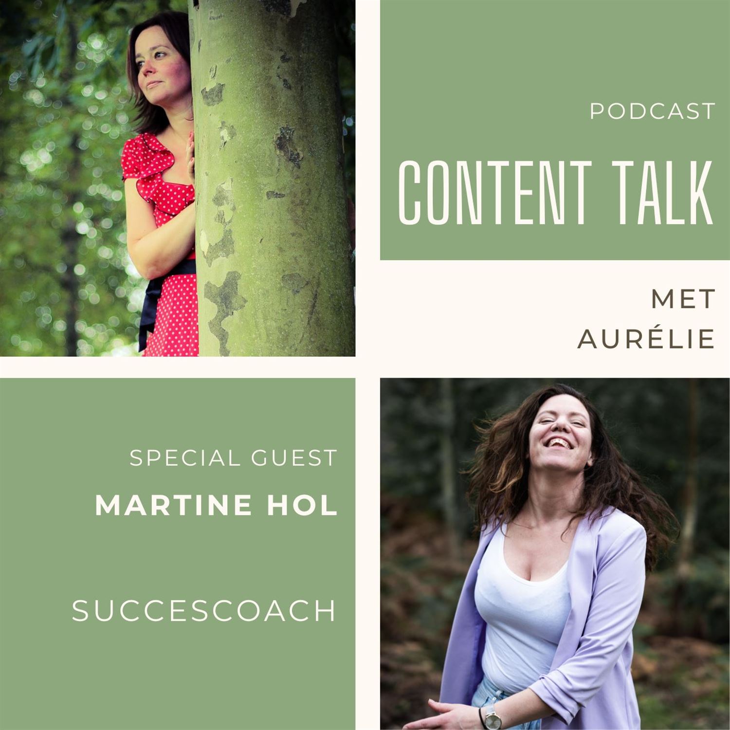 Succesvol Plannen en Structureren, in gesprek met Martine Hol #289 Artwork